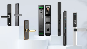 Thiet ke chua co ten 11